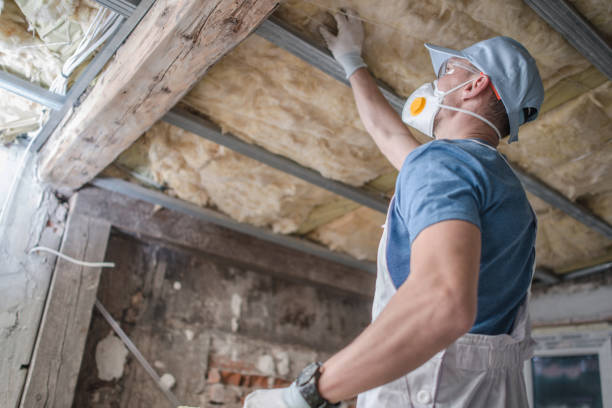 Best Insulation Contractors for Homes  in Mount Vernon, VA