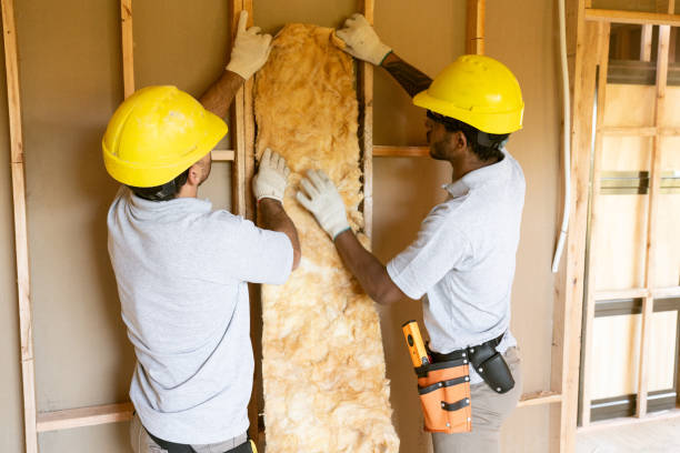 Professional Insulation Contractor in Mount Vernon, VA