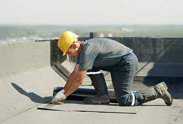 Best Cellulose Insulation  in Mount Vernon, VA