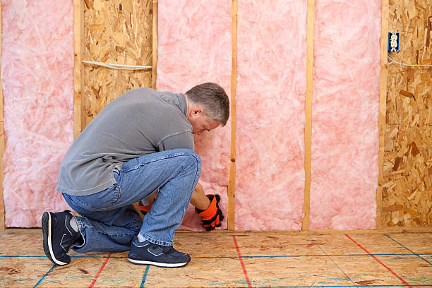Best Soundproof Insulation Installation  in Mount Vernon, VA