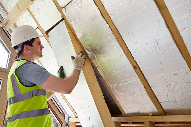 Best Insulation Inspection Services  in Mount Vernon, VA